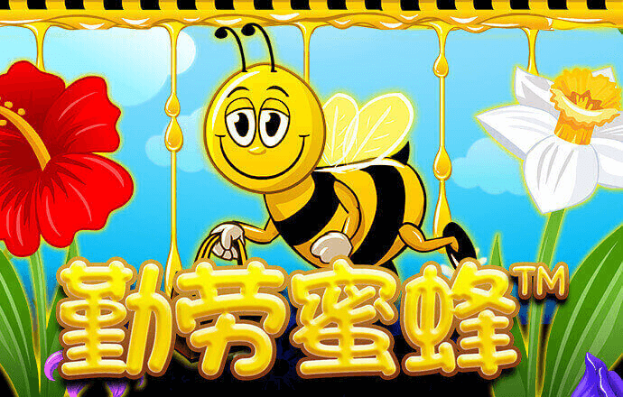 火博电竞